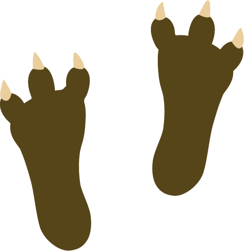 Scout Claws